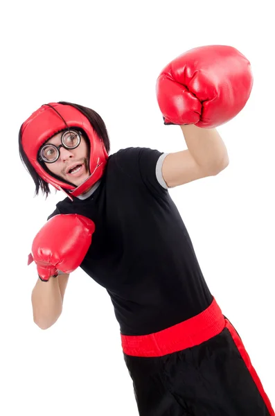 Funny boxer isolated on the white — Stock Photo, Image