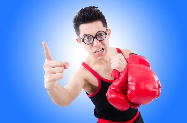 Boxer drôle avec gants rouges — Photo