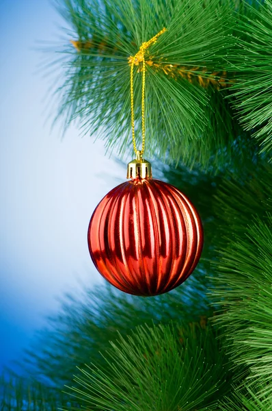 Kerstversiering op de dennenboom — Stockfoto