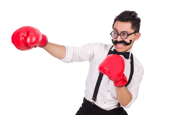 Boxer engraçado isolado no fundo branco — Fotografia de Stock