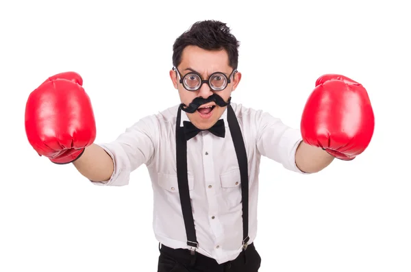 Boxer drôle isolé sur le fond blanc — Photo