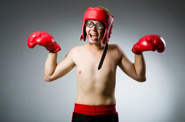 Funny boxer proti tmavému pozadí — Stock fotografie