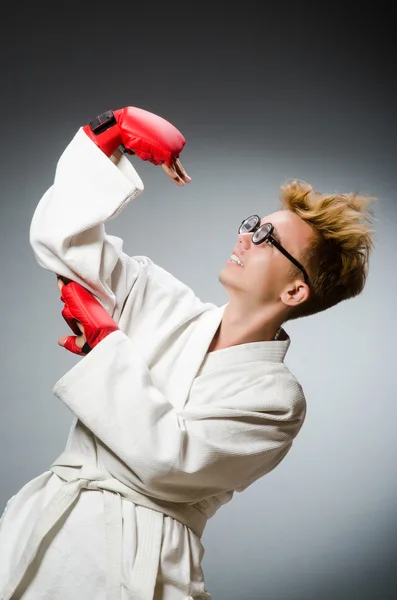 Boxer divertente nel concetto di sport — Foto Stock