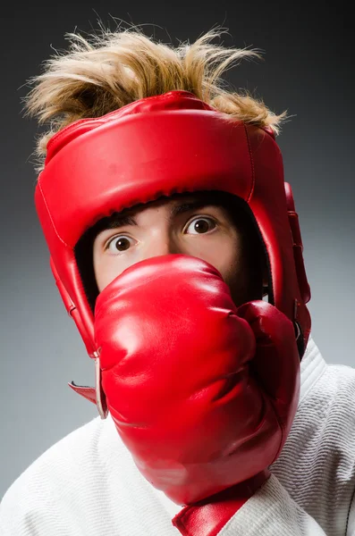 Boxer engraçado no conceito de esporte — Fotografia de Stock