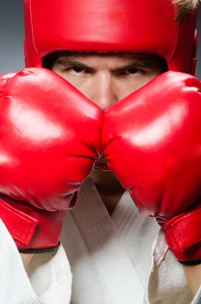 Boxer divertente nel concetto di sport — Foto Stock