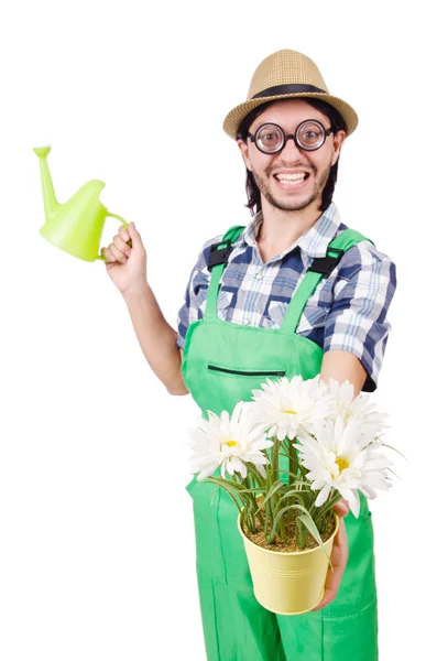 Jardinero con regadera — Foto de Stock