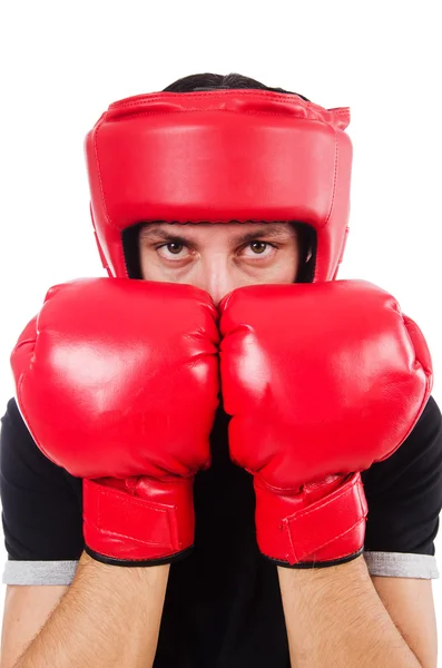 Boxer drôle isolé sur le blanc — Photo