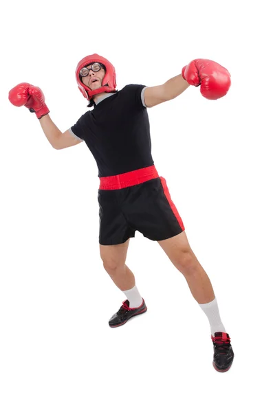 Lustige Boxer isoliert auf dem weißen — Stockfoto