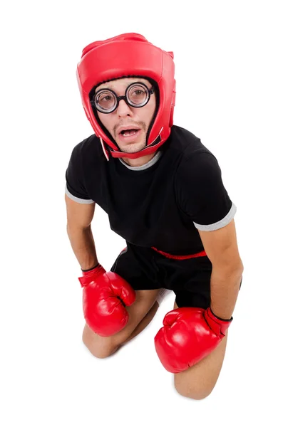 Funny boxer isolated on the white — Stock Photo, Image