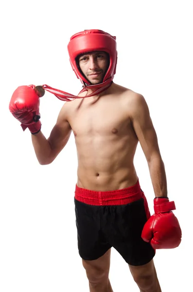 Lustige Boxer isoliert auf dem weißen — Stockfoto