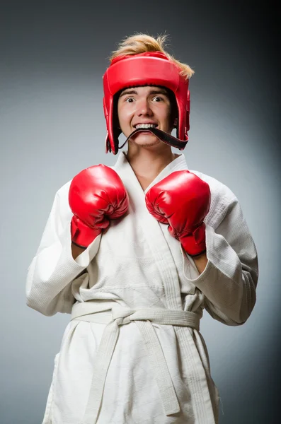 Zabawny bokser w koncepcji sportu — Zdjęcie stockowe