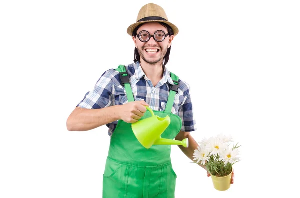 Divertido jardinero con regadera aislada en blanco —  Fotos de Stock