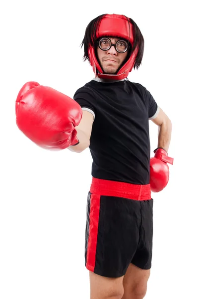 Boxer drôle isolé sur le blanc — Photo