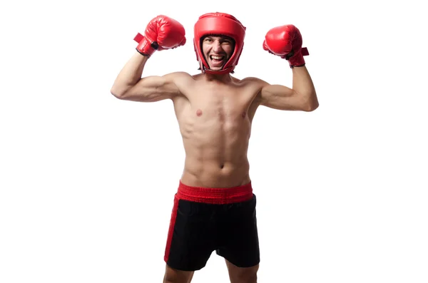 Lustige Boxer isoliert auf dem weißen — Stockfoto