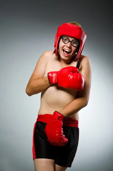 Смешной ботаник-боксер в спортивной концепции — стоковое фото