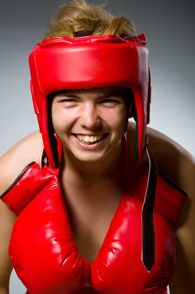 Engraçado boxer fundo escuro — Fotografia de Stock