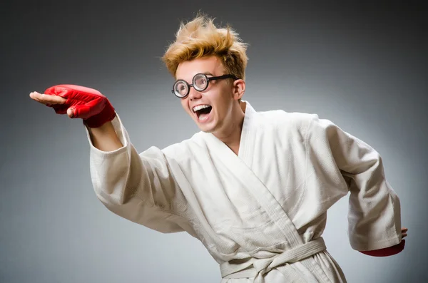 Boxer divertente nel concetto di sport — Foto Stock