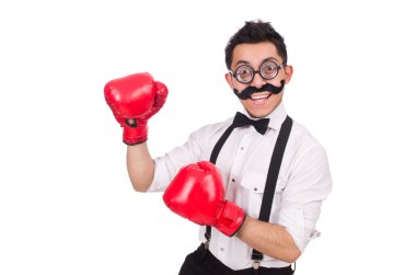 Beyaz arka planda izole edilmiş komik boksör