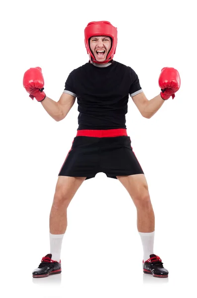 Funny boxer isolated on the white — Stock Photo, Image