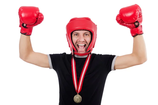 Funny boxer isolated on the white — Stock Photo, Image