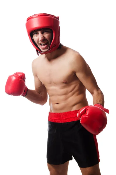 Funny boxer isolated on the white — Stock Photo, Image