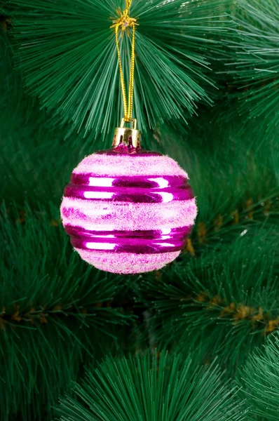 Christmas decoration on the fir tree — Stock Photo, Image