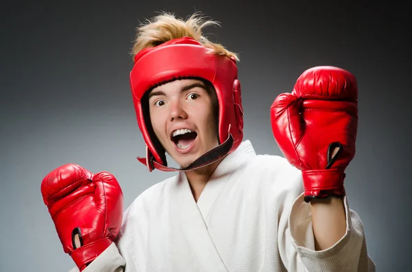 Boxer divertente nel concetto di sport — Foto Stock