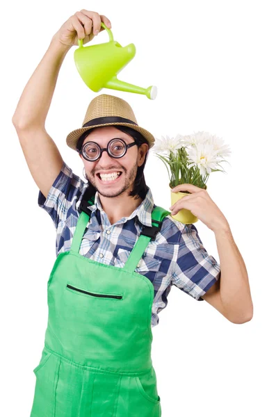 Young cheerful gardener — Stock Photo, Image