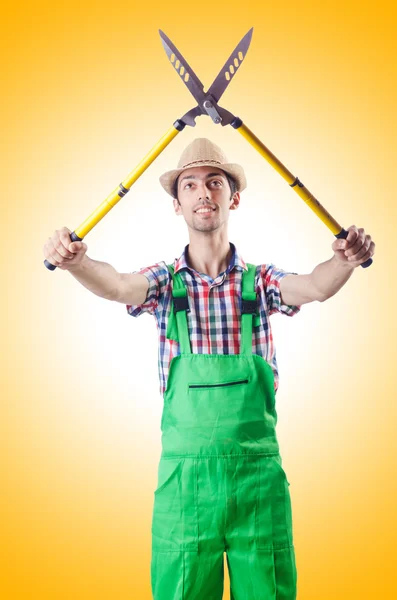 Hombre jardinero con tijeras — Foto de Stock