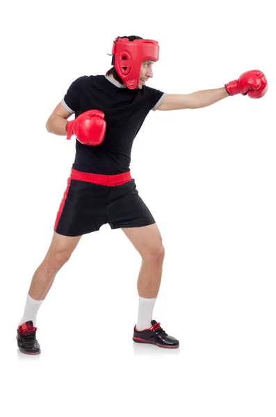 Lustige Boxer isoliert auf dem weißen — Stockfoto
