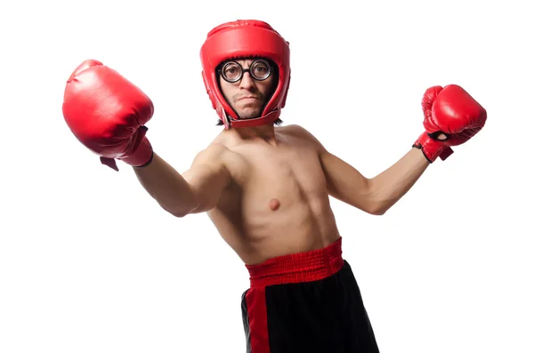 Lustige Boxer isoliert auf dem weißen — Stockfoto