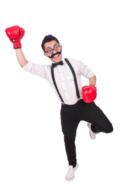 Beyaz arka planda izole edilmiş komik boksör