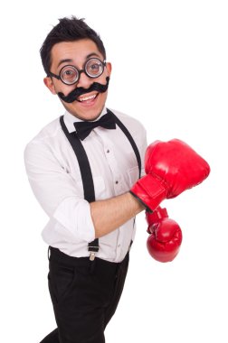 Beyaz arka planda izole edilmiş komik boksör