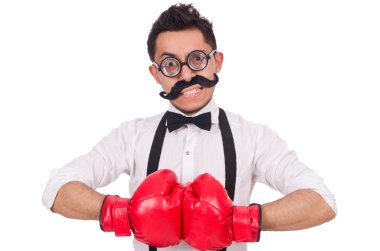 Beyaz arka planda izole edilmiş komik boksör