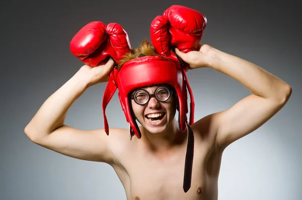 Zabawny bokser na szaro — Zdjęcie stockowe