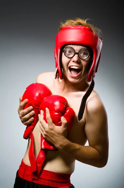 Funny boxer on gray — Stock Photo, Image