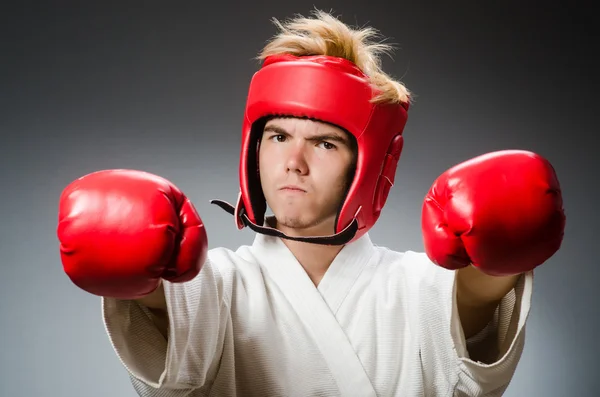 Boxer divertente nel concetto di sport — Foto Stock