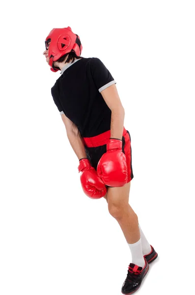 Boxer engraçado com glovers vermelhos — Fotografia de Stock
