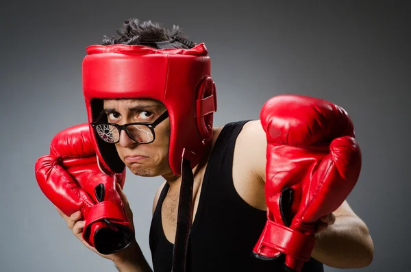 Grappige bokser met rode handschoenen — Stockfoto