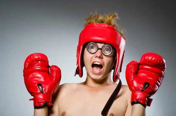 Смешной ботаник-боксер в спортивной концепции — стоковое фото
