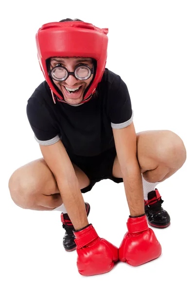 Boxer divertente con guanti rossi — Foto Stock