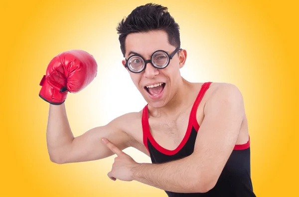 Funny boxer isolated — Stock Photo, Image