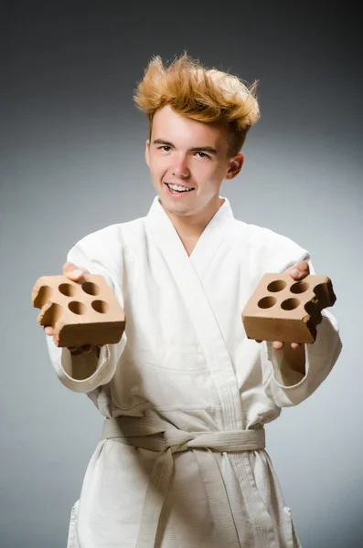 Vtipný karate bojovník s hliněnou cihlou — Stock fotografie
