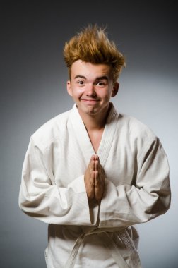 komik karate fighter