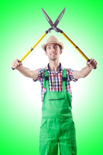 Hombre jardinero con tijeras — Foto de Stock