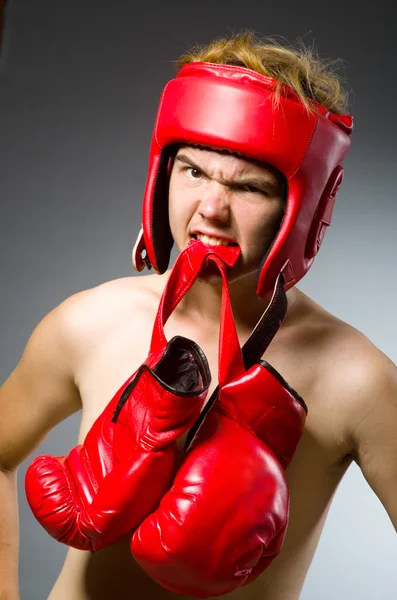 Boxer engraçado com luvas vermelhas — Fotografia de Stock