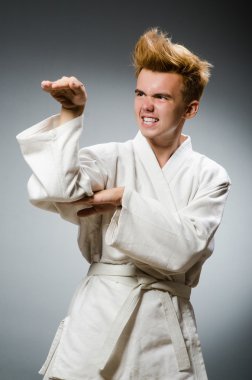 komik karate fighter