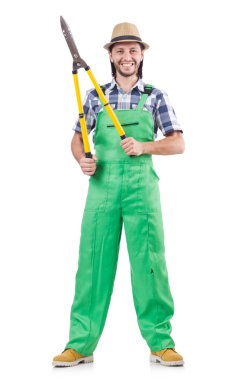 Erkek bahçıvan makası ile