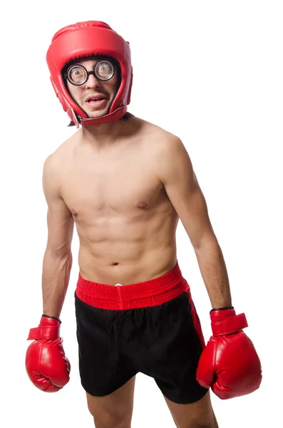 Boxer drôle avec des gants rouges — Photo