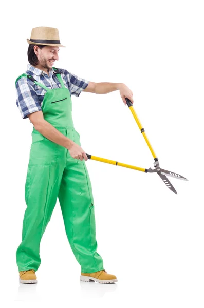 Male gardener with clippers — Stock Photo, Image